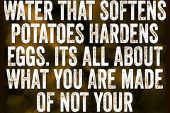 119220-the-boiling-water-the-same-that-the-potato-egg-softens-hardens