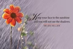Face-the-sunshine