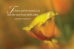 Love-and-be-loved