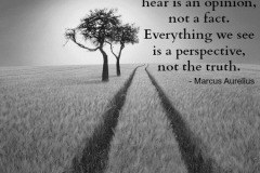 perspective-quotes-live-life-quotes-short-inspirational-quotes-inspiring-quotes-quotes-viewpoint-quotes