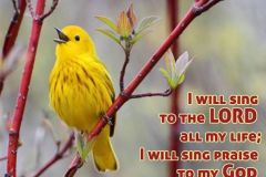 singpraise